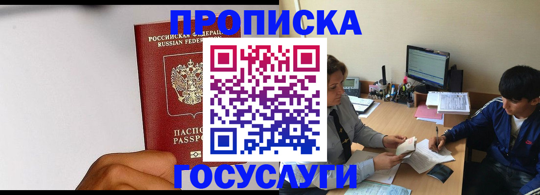 временная регистрация госуслуги в Щёлково